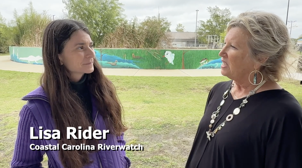 Oyster Month - Lisa Rider