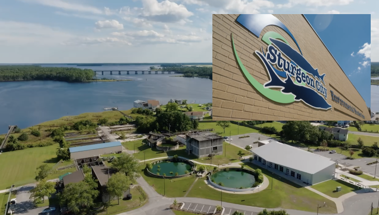 The Story of Sturgeon City