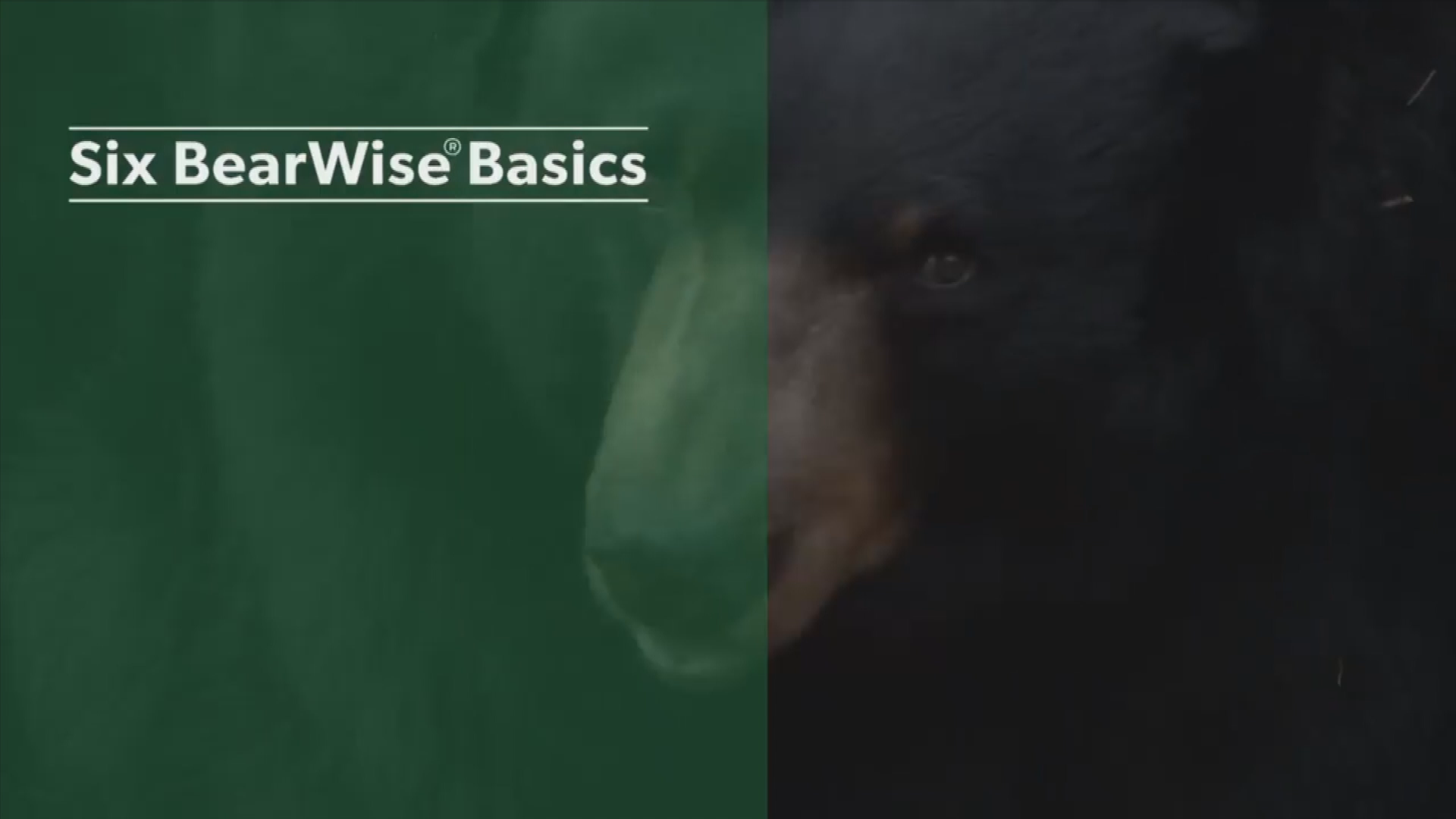 Bear Wise - North Carolina